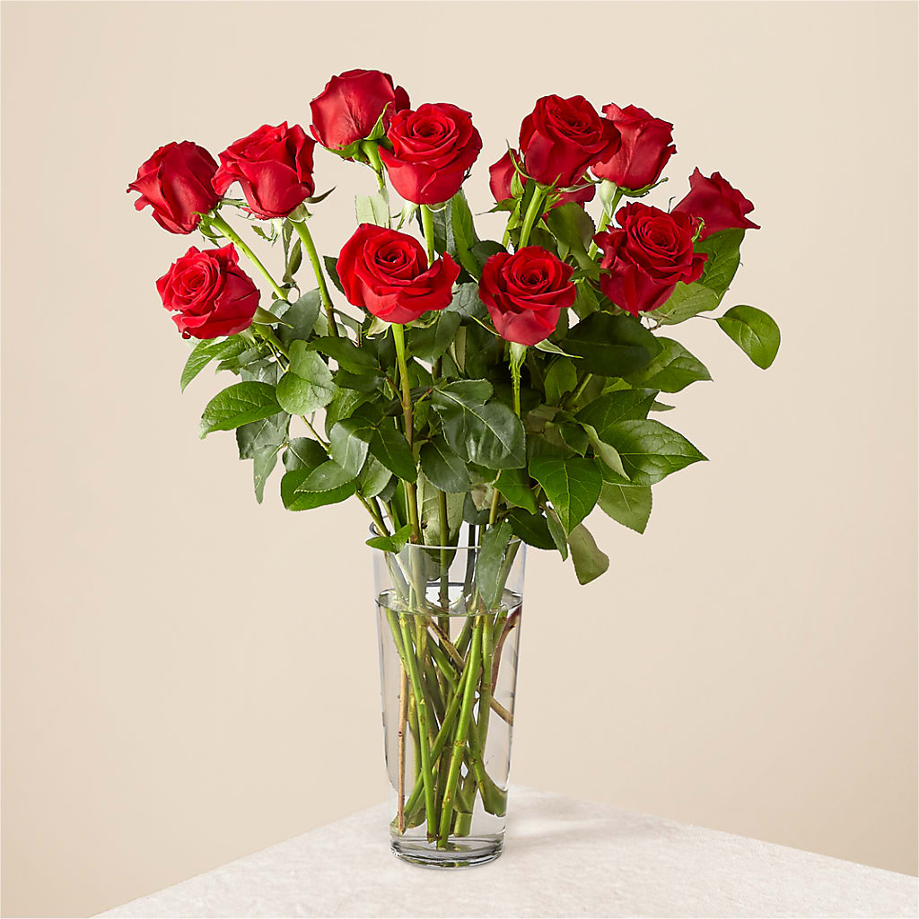 Long Stem Red Rose Bouquet – DAWN'S FLOWER PATCH, Lake Wales FL