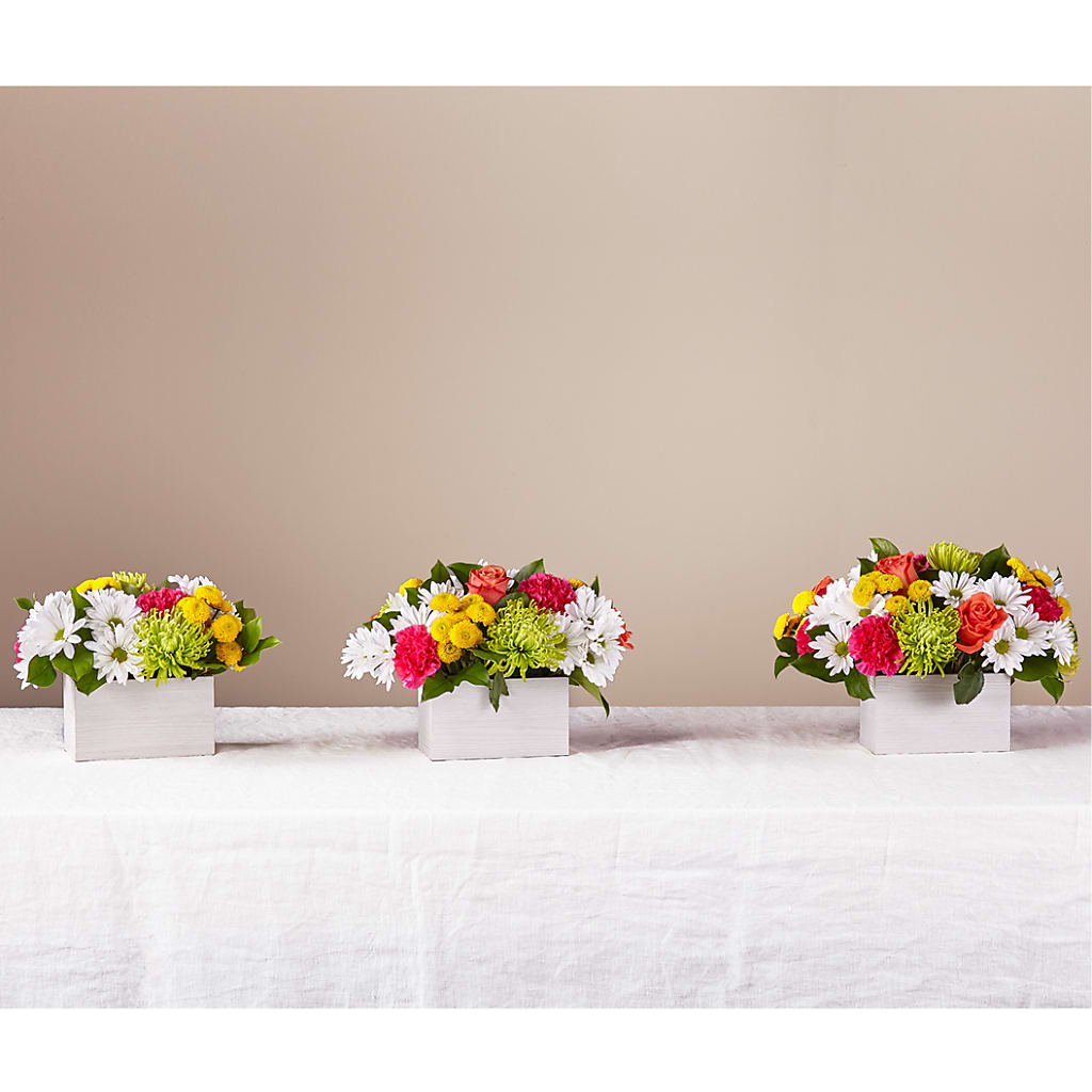 Sorbet Bouquet – DAWN'S FLOWER PATCH, Lake Wales FL