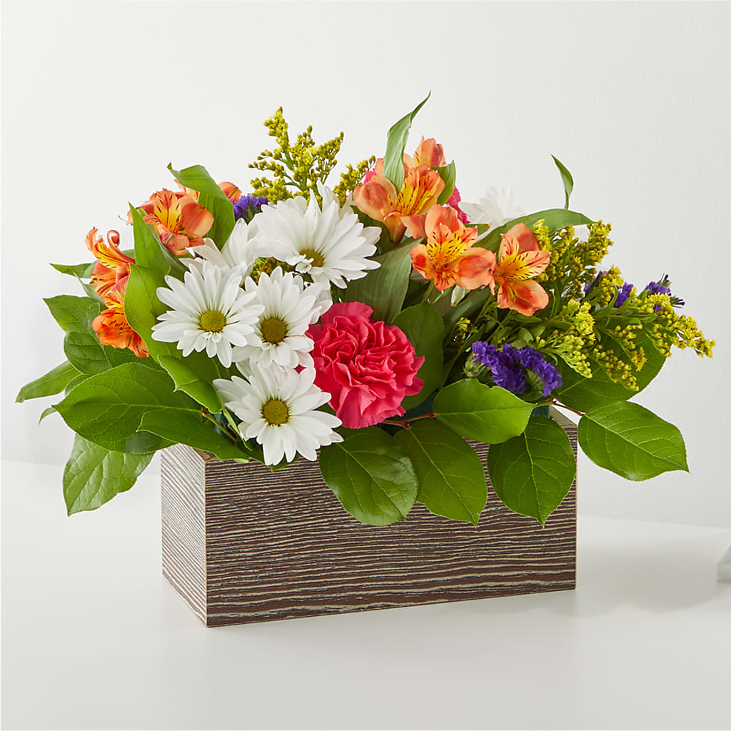 Oopsie Daisy Box Bouquet – DAWN'S FLOWER PATCH, Lake Wales FL