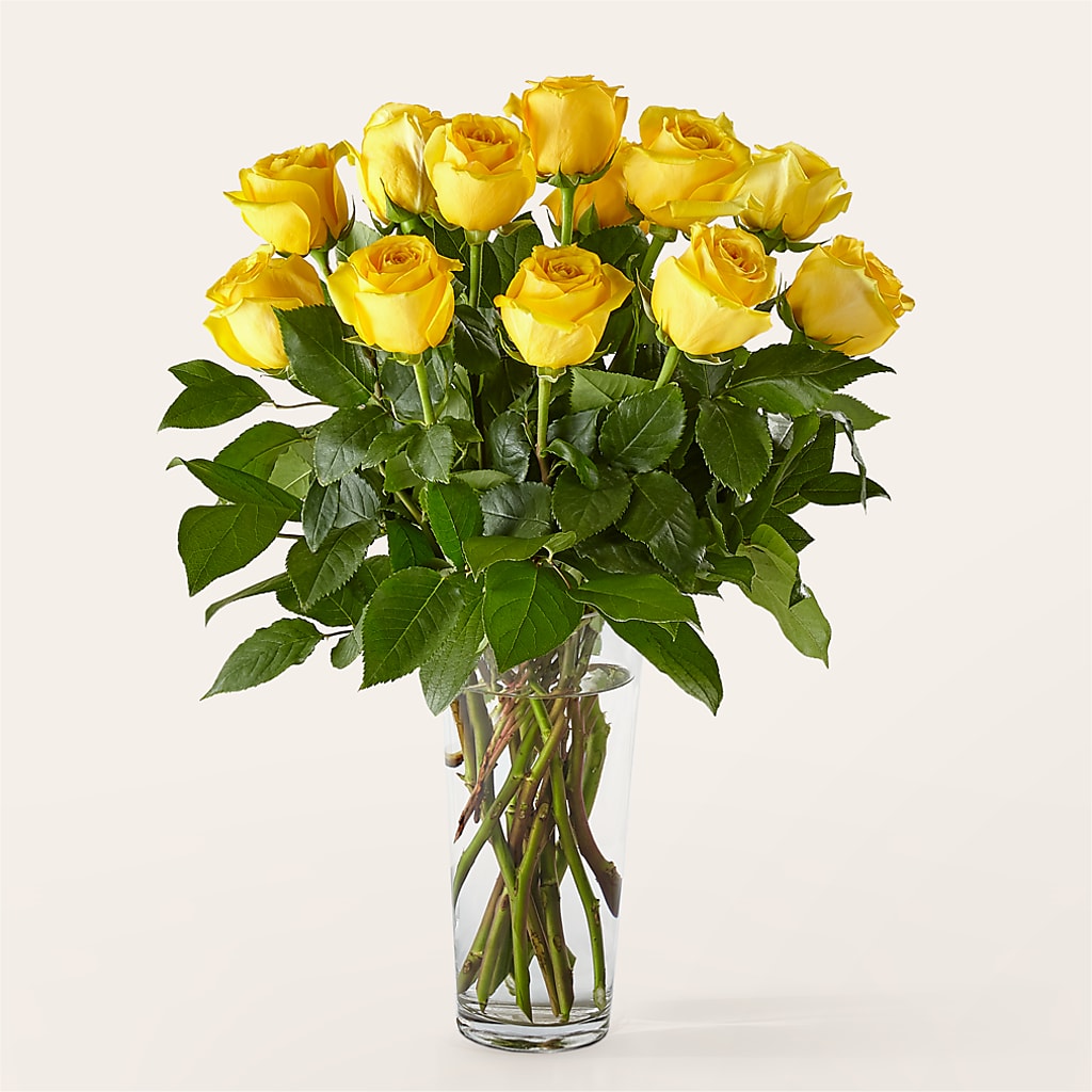 Long Stem Yellow Rose Bouquet – DAWN'S FLOWER PATCH, Lake Wales FL