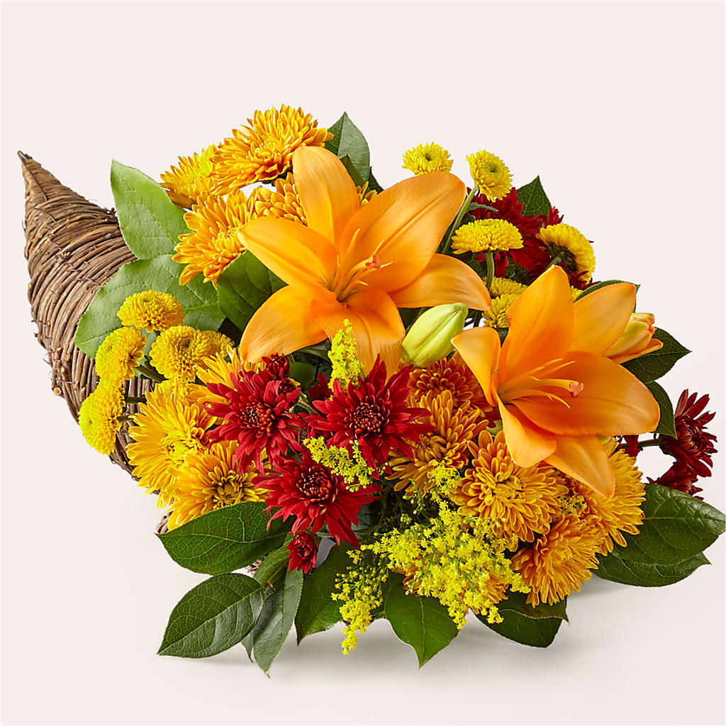 Feast of Color Cornucopia – DAWN'S FLOWER PATCH, Lake Wales FL