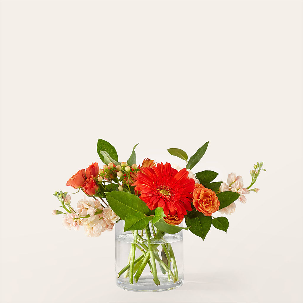 Paloma Please Bouquet – DAWN'S FLOWER PATCH, Lake Wales FL