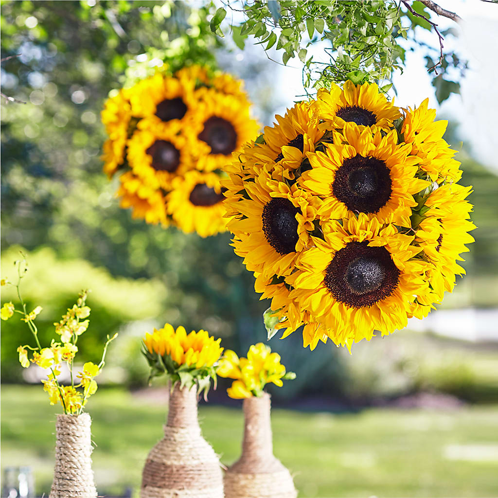 Sublime Garden Hanging Arrangement – DAWN'S FLOWER PATCH, Lake Wales FL