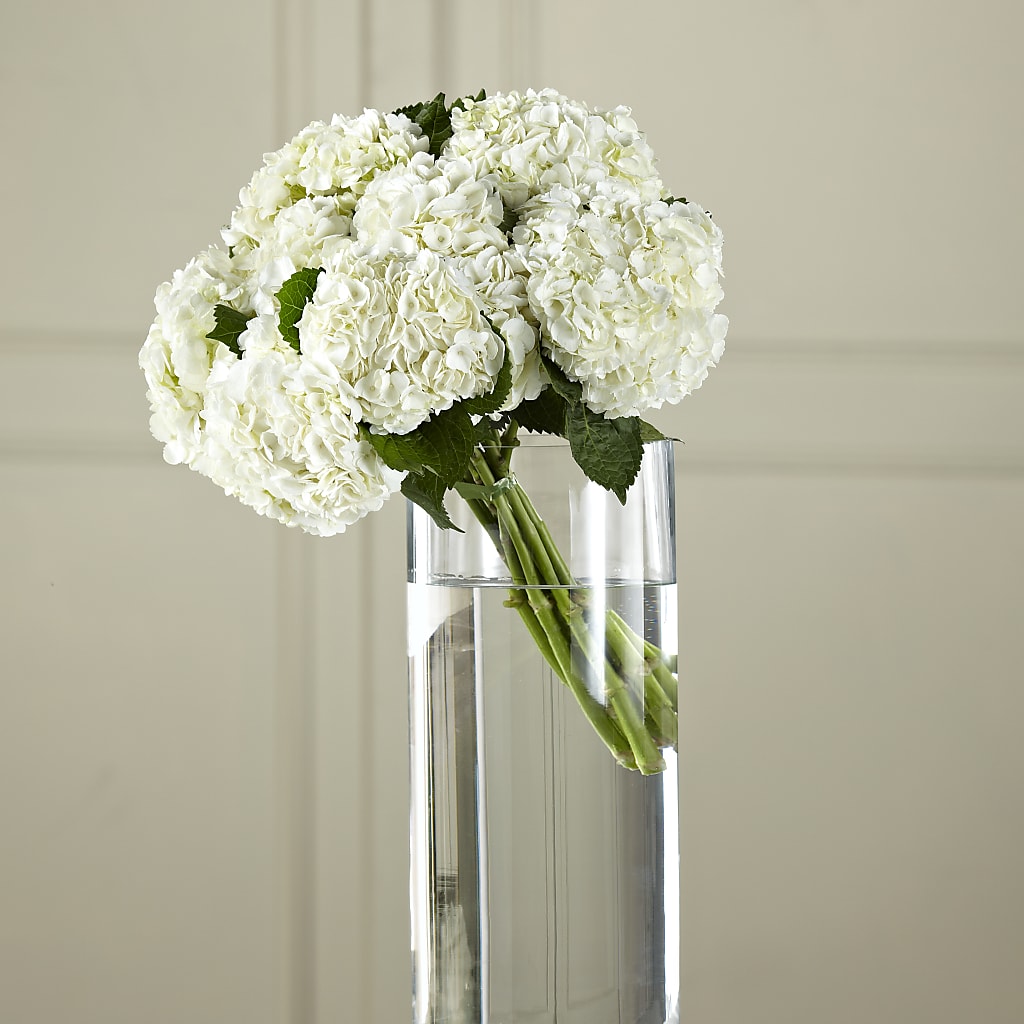 White Hydrangea Hand-Tied Bouquet – DAWN'S FLOWER PATCH, Lake Wales FL