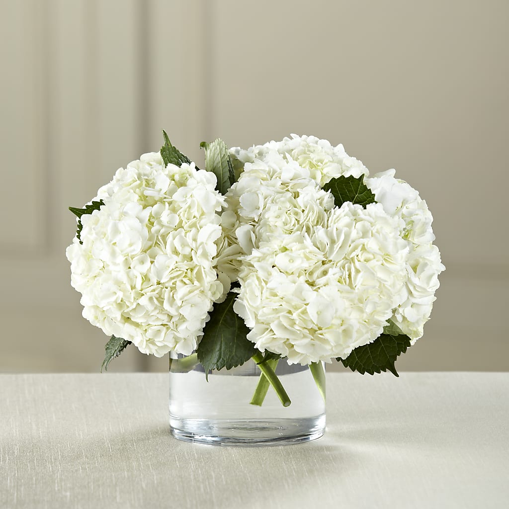 White Hydrangea Bouquet – DAWN'S FLOWER PATCH, Lake Wales FL