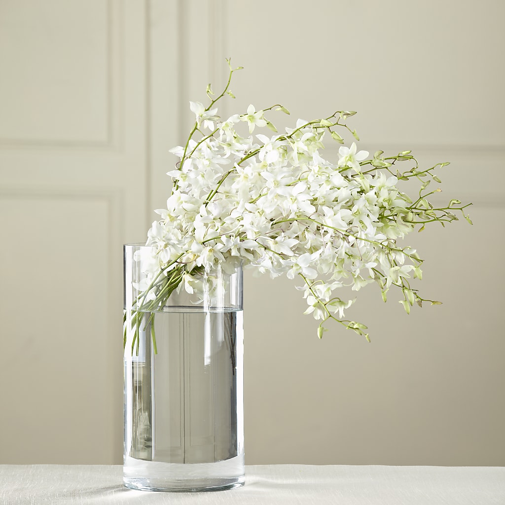 White Dendrobium Bouquet – DAWN'S FLOWER PATCH, Lake Wales FL