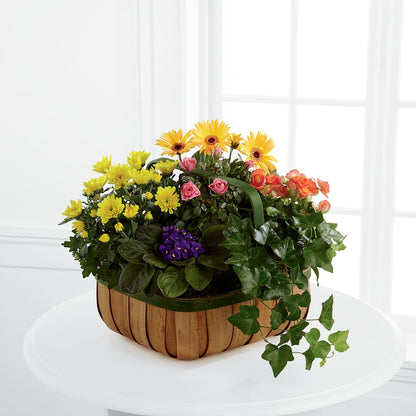 Gentle Blossoms Basket – DAWN'S FLOWER PATCH, Lake Wales FL