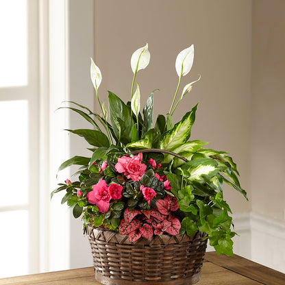Dream in Pink Dishgarden – DAWN'S FLOWER PATCH, Lake Wales FL
