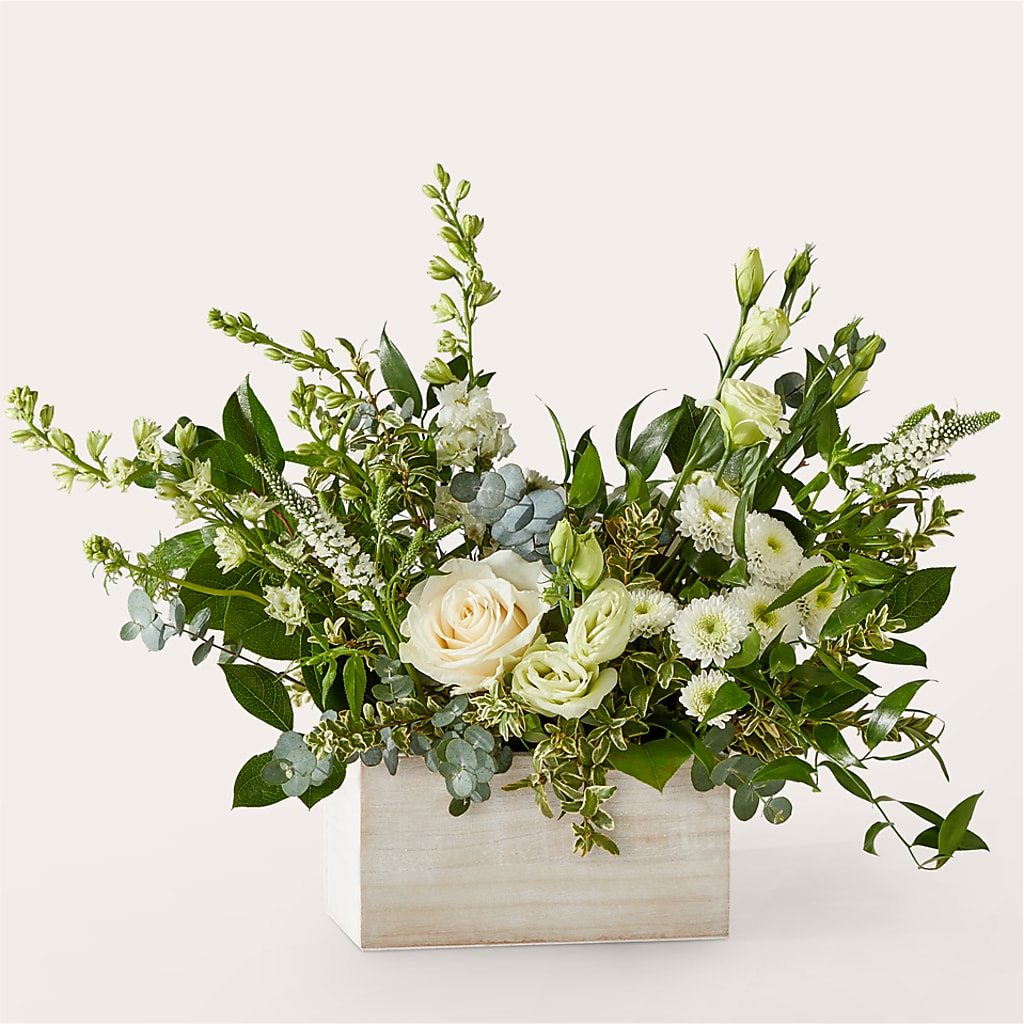 Cashmere Bouquet – DAWN'S FLOWER PATCH, Lake Wales FL