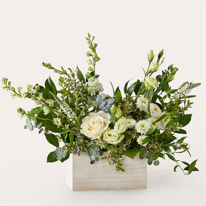 Cashmere Bouquet – DAWN'S FLOWER PATCH, Lake Wales FL