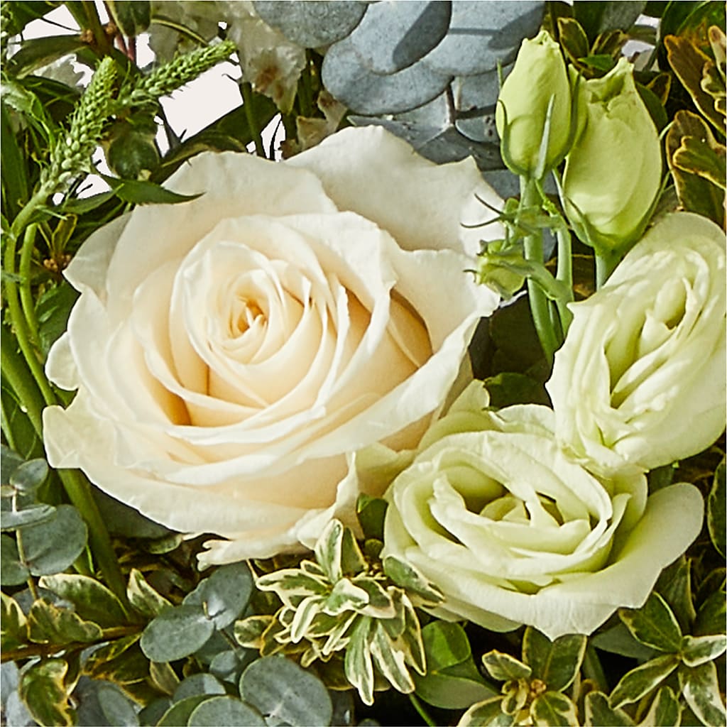 Cashmere Bouquet – DAWN'S FLOWER PATCH, Lake Wales FL