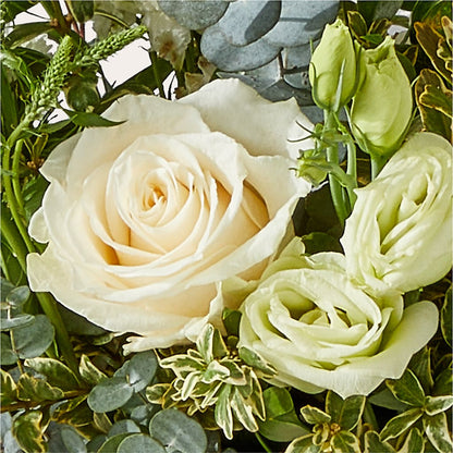 Cashmere Bouquet – DAWN'S FLOWER PATCH, Lake Wales FL