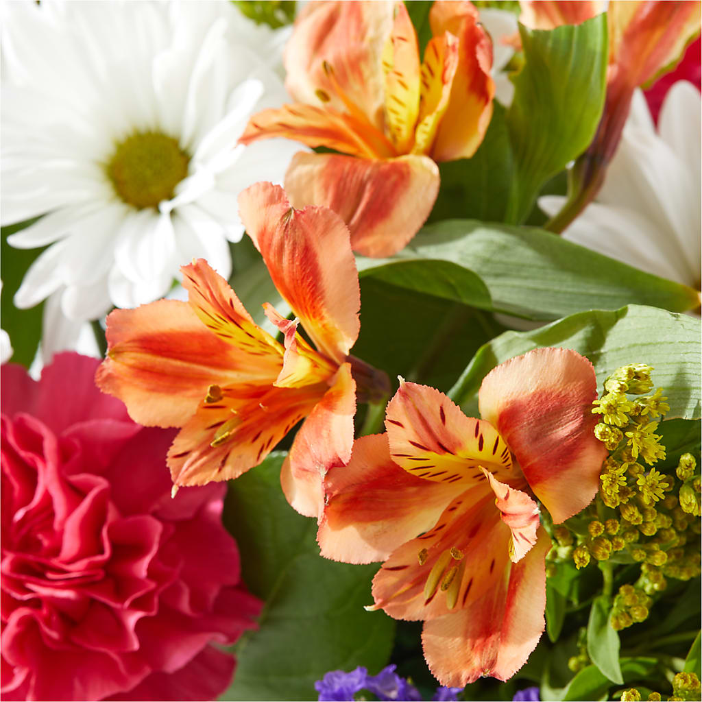 Oopsie Daisy Box Bouquet – DAWN'S FLOWER PATCH, Lake Wales FL