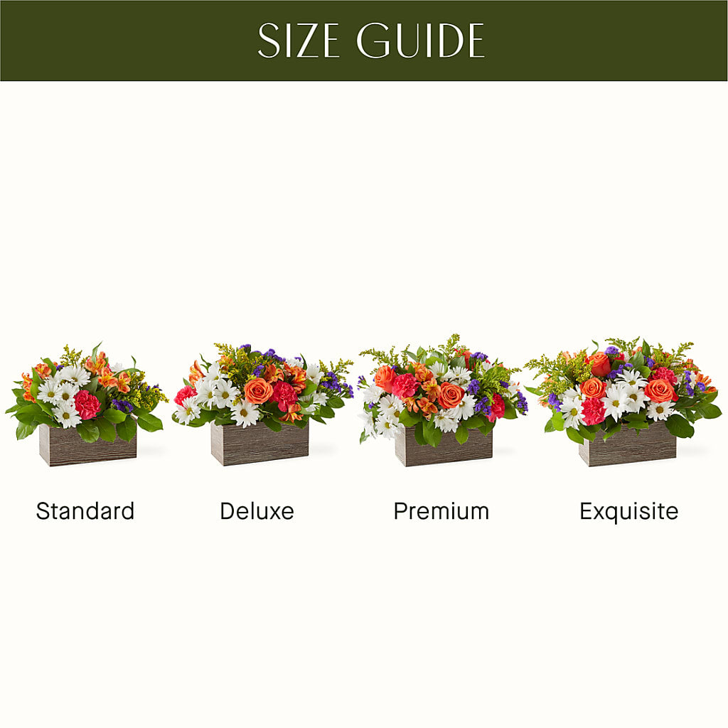 Oopsie Daisy Box Bouquet – DAWN'S FLOWER PATCH, Lake Wales FL