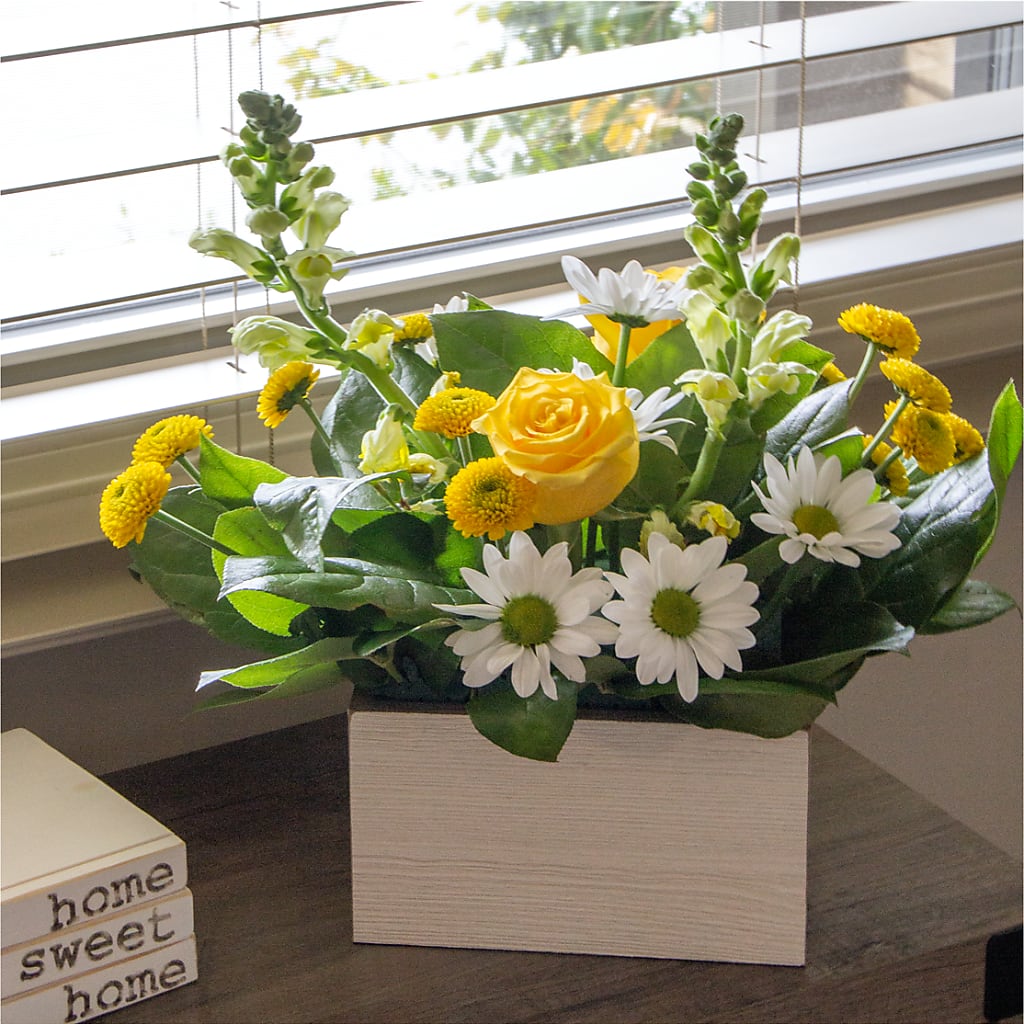 Sun Salutation Box Bouquet – DAWN'S FLOWER PATCH, Lake Wales FL