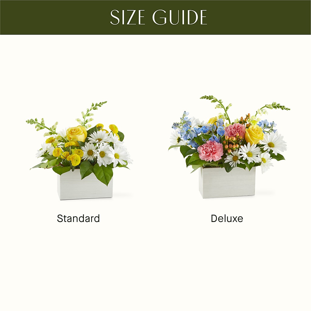Sun Salutation Box Bouquet – DAWN'S FLOWER PATCH, Lake Wales FL