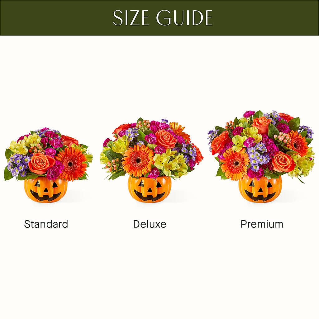 Tricks & Treats Pumpkin – DAWN'S FLOWER PATCH, Lake Wales FL