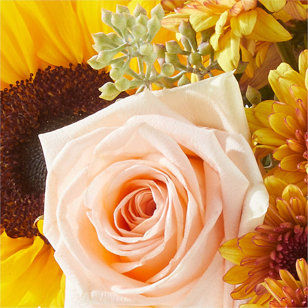 Pumpkin to Talk About Bouquet – DAWN'S FLOWER PATCH, Lake Wales FL