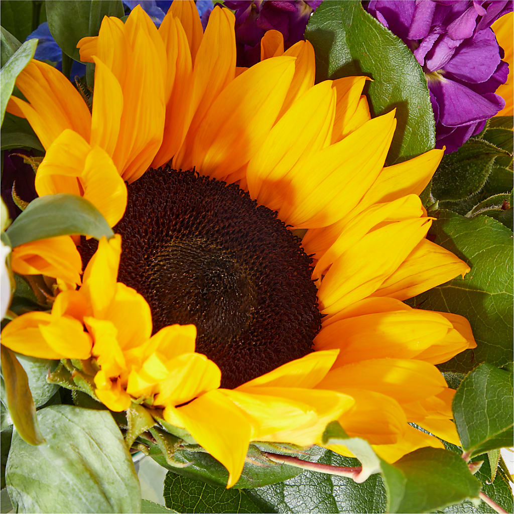 Catching Rays Bouquet – DAWN'S FLOWER PATCH, Lake Wales FL
