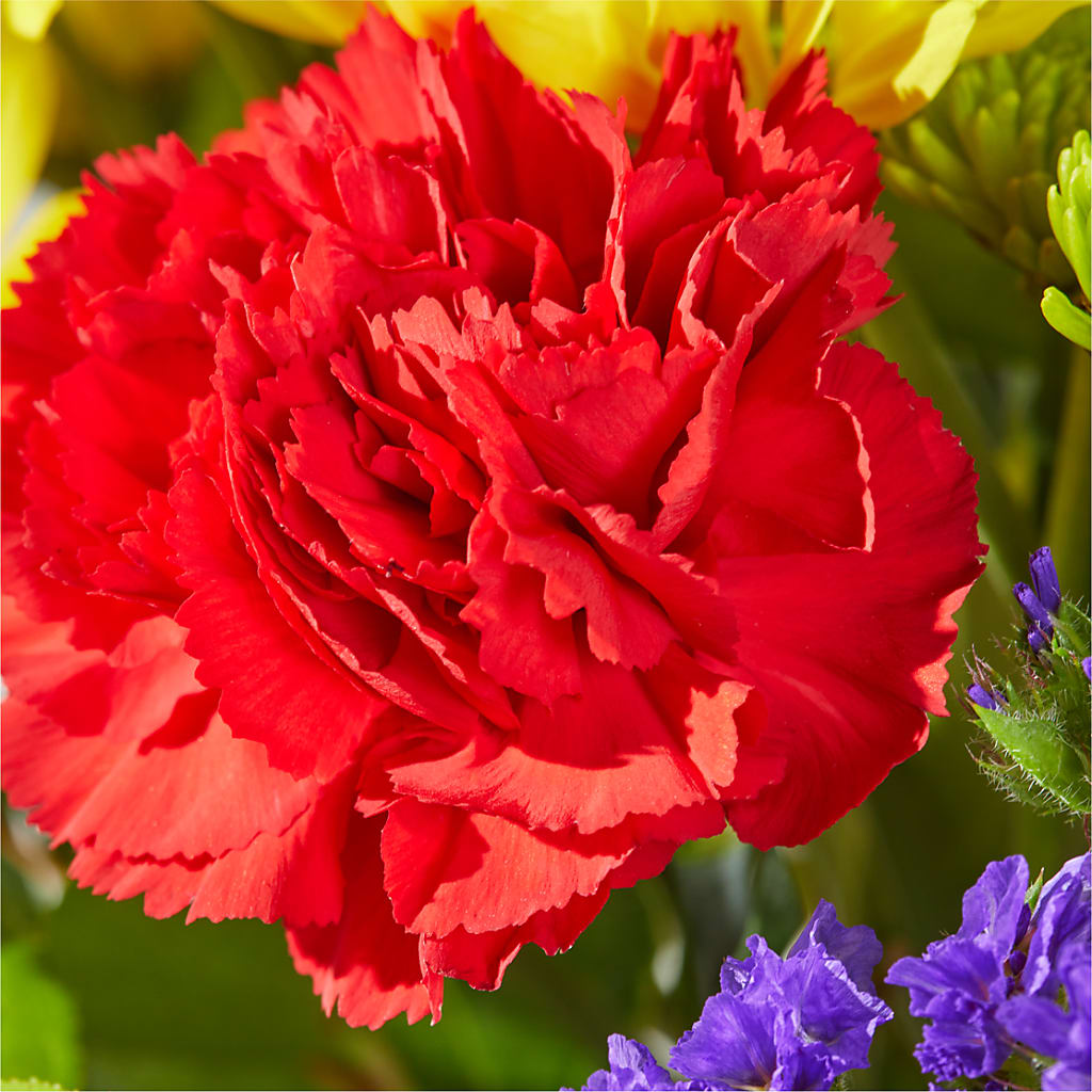Brighter Days Bouquet – DAWN'S FLOWER PATCH, Lake Wales FL