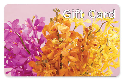 Gift Card – DAWN'S FLOWER PATCH, Lake Wales FL