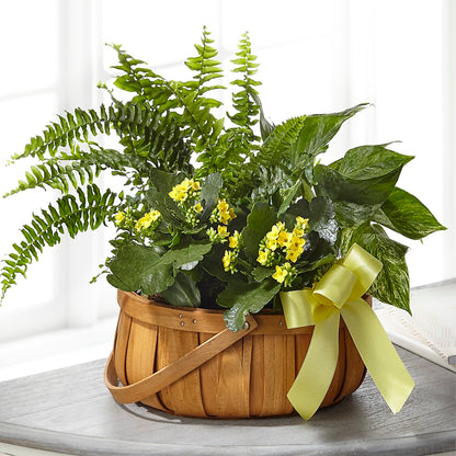 Always Dear Dishgarden – DAWN'S FLOWER PATCH, Lake Wales FL