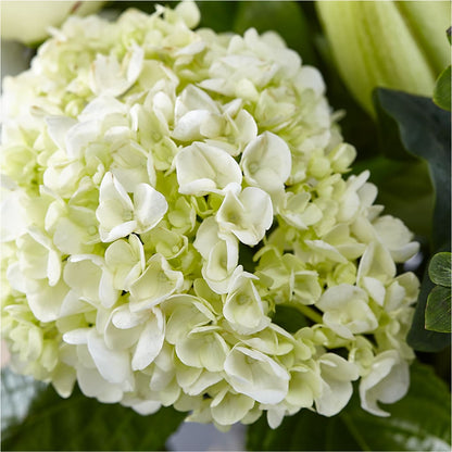 Classic Ivory – A Florist Original – DAWN'S FLOWER PATCH, Lake Wales FL