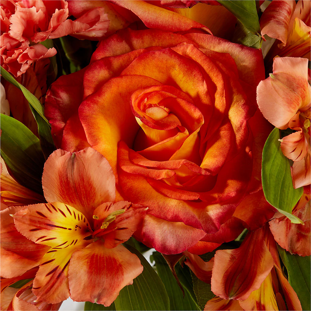 Apricot Glow Bouquet – DAWN'S FLOWER PATCH, Lake Wales FL