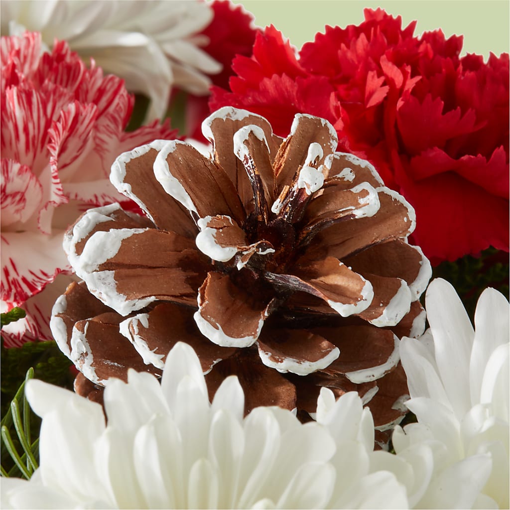 Candy Cane Lane Bouquet – DAWN'S FLOWER PATCH, Lake Wales FL
