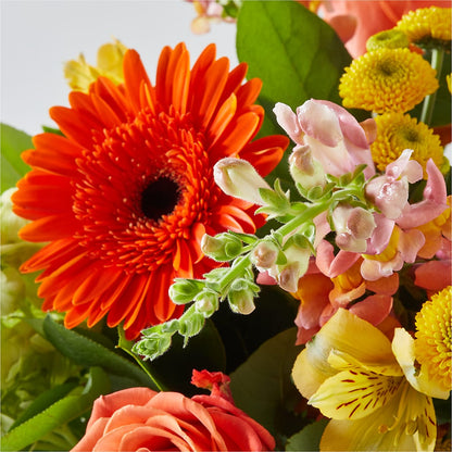 Autumn Sunshine Bouquet – DAWN'S FLOWER PATCH, Lake Wales FL