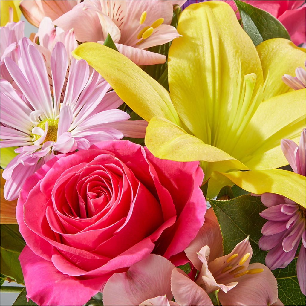 Sprinkles Bouquet – DAWN'S FLOWER PATCH, Lake Wales FL