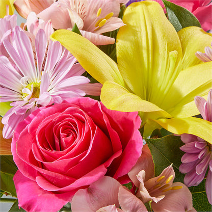 Sprinkles Bouquet – DAWN'S FLOWER PATCH, Lake Wales FL
