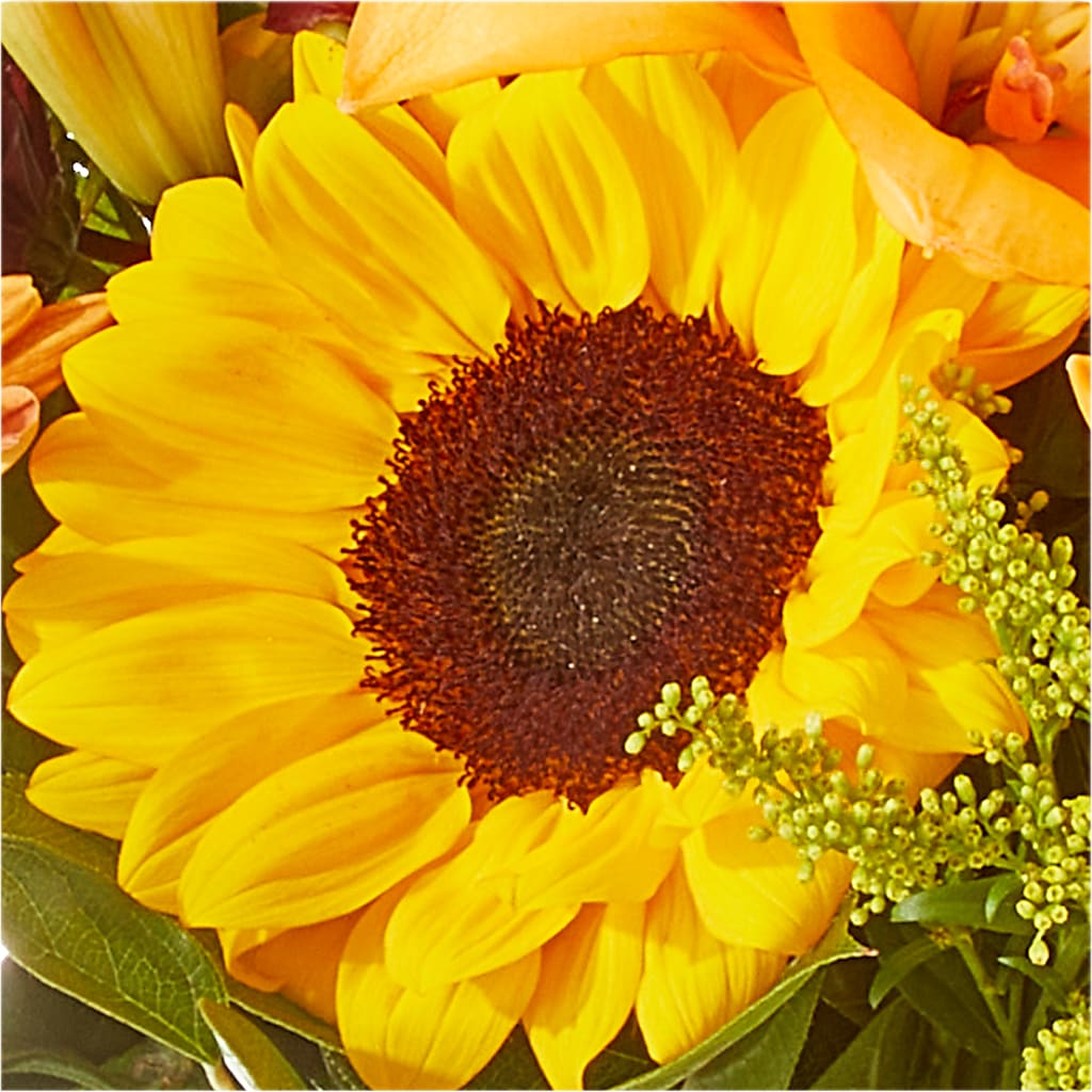 Seasons Change Bouquet – DAWN'S FLOWER PATCH, Lake Wales FL