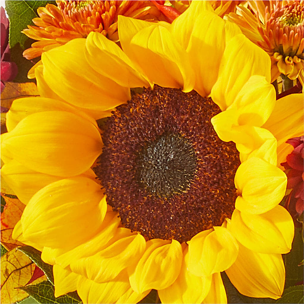 Sunny Side Bouquet – DAWN'S FLOWER PATCH, Lake Wales FL