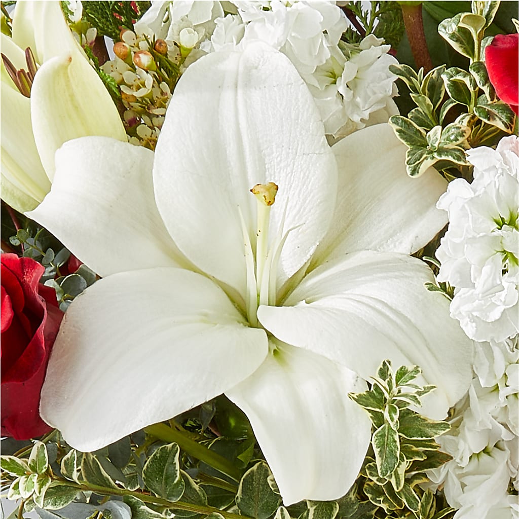 Twinkle Lights Bouquet – DAWN'S FLOWER PATCH, Lake Wales FL