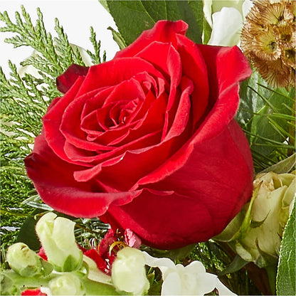 Deck the Halls Bouquet – DAWN'S FLOWER PATCH, Lake Wales FL