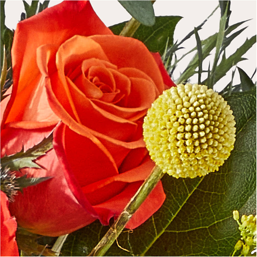 Disco Bouquet – DAWN'S FLOWER PATCH, Lake Wales FL