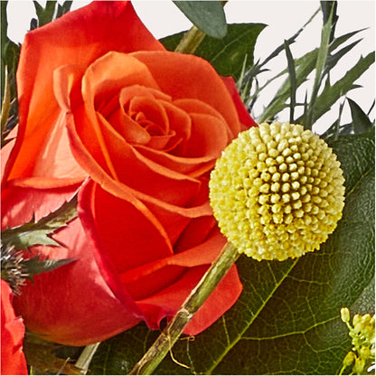 Disco Bouquet – DAWN'S FLOWER PATCH, Lake Wales FL