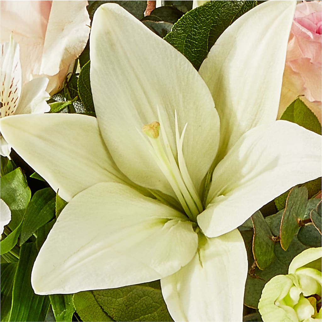 Ballet Slippers Bouquet – DAWN'S FLOWER PATCH, Lake Wales FL