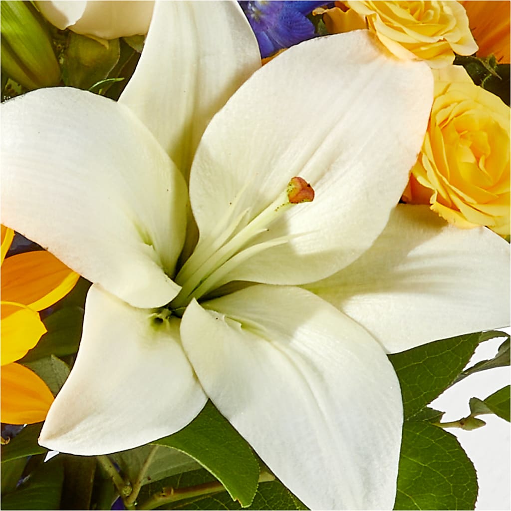 Wonderfully Sunny Bouquet – DAWN'S FLOWER PATCH, Lake Wales FL