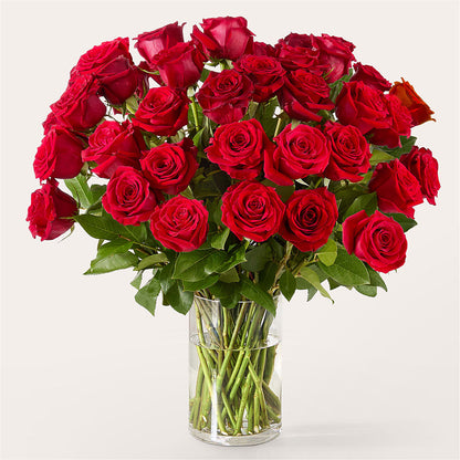 The One Red Rose Bouquet – DAWN'S FLOWER PATCH, Lake Wales FL