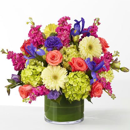 The Couture – DAWN'S FLOWER PATCH, Lake Wales FL