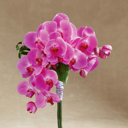 Glorious Bouquet – DAWN'S FLOWER PATCH, Lake Wales FL