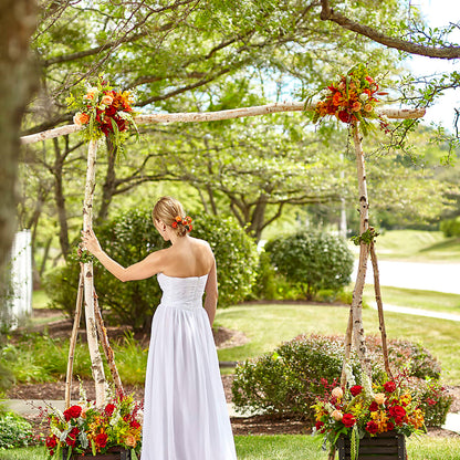 Arbor of Love Archway – DAWN'S FLOWER PATCH, Lake Wales FL