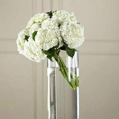 White Hydrangea Hand-Tied Bouquet – DAWN'S FLOWER PATCH, Lake Wales FL