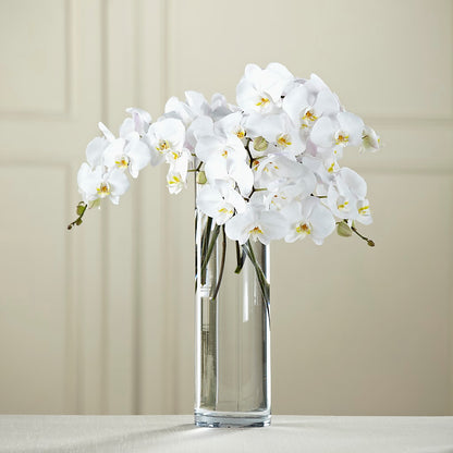 White Phalaenopsis Bouquet – DAWN'S FLOWER PATCH, Lake Wales FL